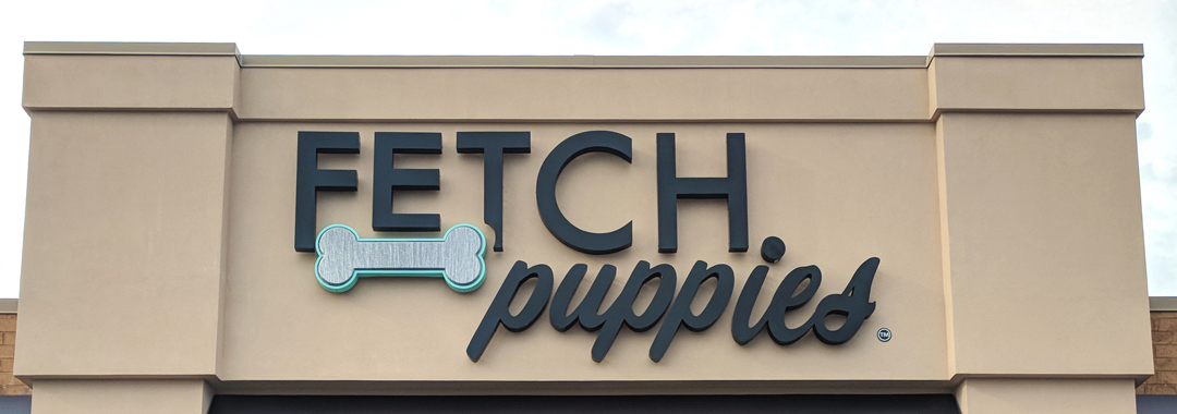 fetch puppies