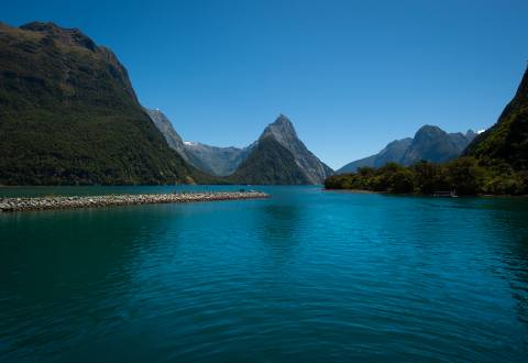 Beautiful New Zealand Landscape.